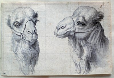 Studies van twee kameelkoppen door Charles Le Brun