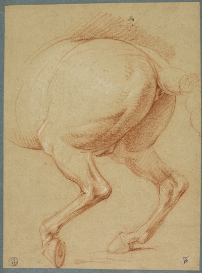 De achterbenen van een paard door Charles Le Brun