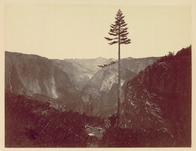 Yosemite Valley vanaf Mariposa Trail, ca. 1865 door Charles Leander Weed