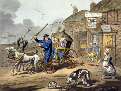 Posten in Ierland door Charles Lorraine Smith