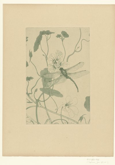 Libelle op bloem van Oostindische kers door Charles Louis Houdard