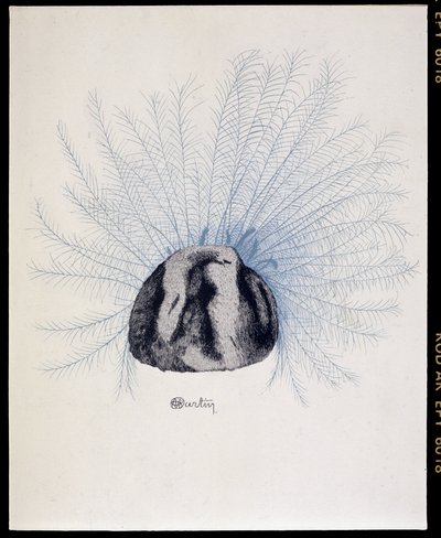 Gevaderde hoed - “La Mode en 1912” door Marcelle Demay, illustratie door Charles Martin door Charles Martin