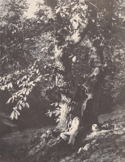 Man liggend aan de voet van een kastanjeboom, 1850-53 door Charles Marville