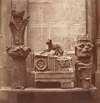 De gemummificeerde kat gevonden in de opgravingen van Saint-Germain-en-Laye, ca. 1862 door Charles Marville