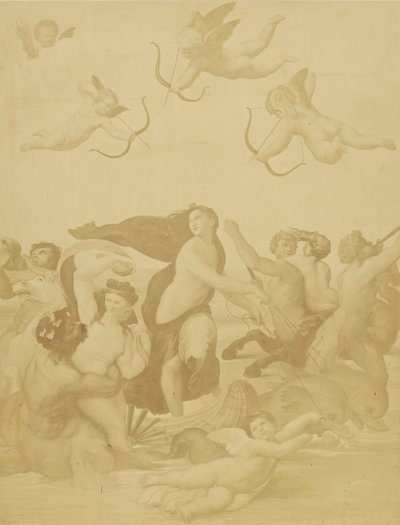 [Reproductie van Galatea door Raphaël]. door Charles Marville