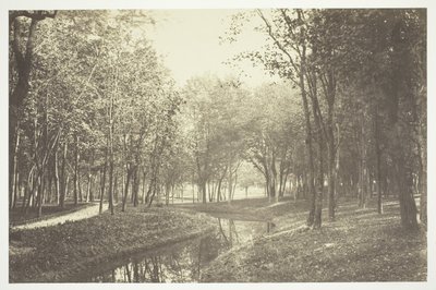 Zonder titel door Charles Marville
