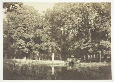 Zonder titel, ca. 1850. [Bomen bij water in het Bois de Boulogne, een park in Parijs] door Charles Marville