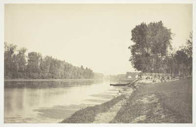 Zonder titel, ca. 1850 [Bomen bij water in het Bois de Boulogne, een park in Parijs] door Charles Marville