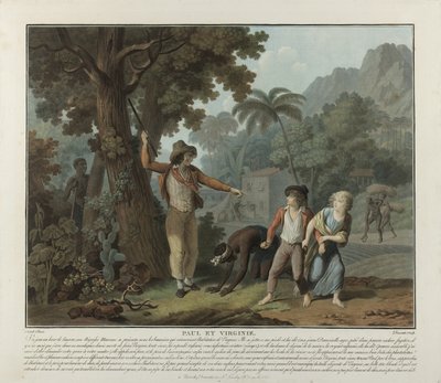 De gevluchte slaaf, plaat 2 uit Paul en Virginie door Charles Melchior Descourtis