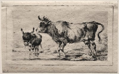 Koe en ezel door Charles Meryon