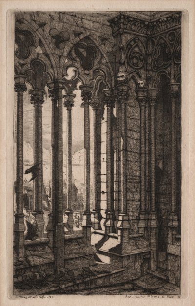 Etsen van Parijs: De Galerij van Notre Dame door Charles Meryon