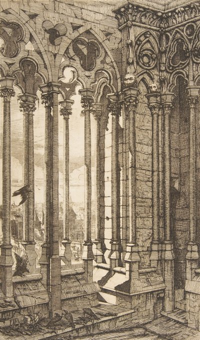 Galerij, Nôtre-Dame kathedraal, Parijs, 1853 door Charles Meryon
