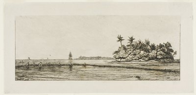 Oceanië: Vissen, nabij eilanden met palmen in de Uea of Wallis-groep, 1845 door Charles Meryon