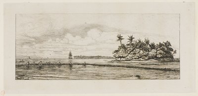 Oceanië: Vissen, nabij eilanden met palmen in de Uea of Wallis-groep, 1845 door Charles Meryon