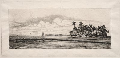 Oceanië: Vissen nabij eilanden met palmen in de Uea of Wallis-groep, 1863 door Charles Meryon