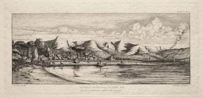 Seine Vissen bij Houtskoolbranderspunt, Akaroa, Banks