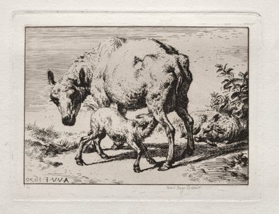 Het schaap met twee lammeren door Charles Meryon