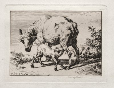 De ooi met twee lammeren, 1850 door Charles Meryon