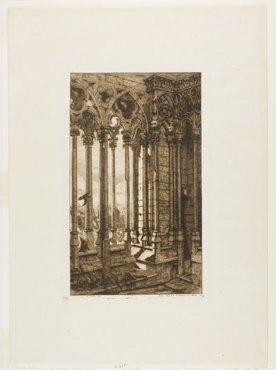 De galerij van Notre-Dame, Parijs door Charles Meryon