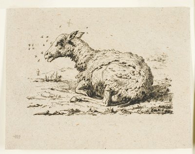 De Schapen en de Vliegen door Charles Meryon
