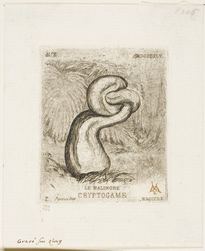De Zieke Cryptogam door Charles Meryon