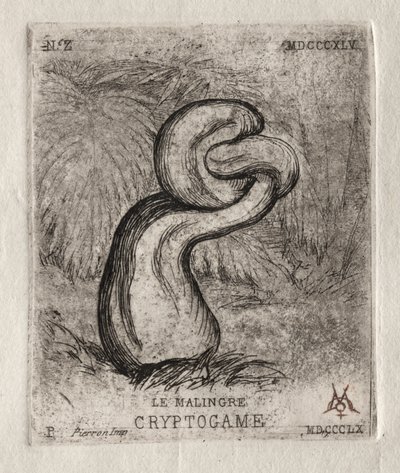 De zieke cryptogam, 1860 door Charles Meryon