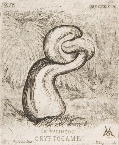 De nietige Cryptogamia, 1860 door Charles Meryon