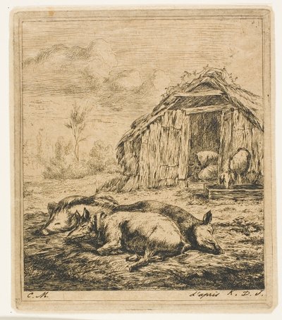 Drie Varkens Liggend voor een Schuur door Charles Meryon