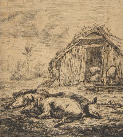 Drie varkens liggend voor een schuur, 1850 door Charles Meryon
