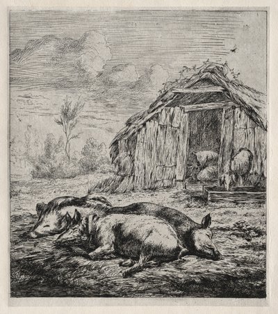 Drie varkens liggend voor een hok door Charles Meryon