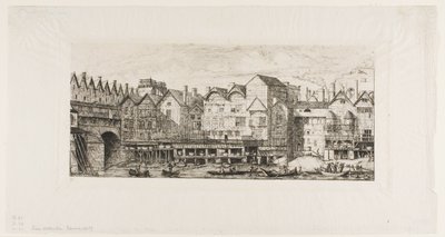 Uitzicht op een deel van de stad Parijs tegen het einde van de XVII eeuw door Charles Meryon