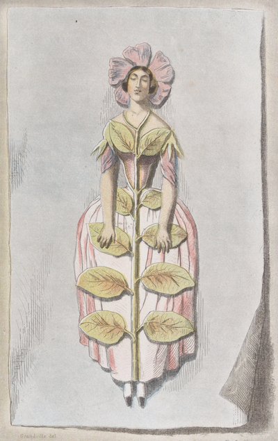 Pervenche Desséchée, uit Les Fleurs Animées door Charles Michel Geoffroy