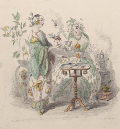 Thee & Koffie, uit Les Fleurs Animées, 1847 door Charles Michel Geoffroy