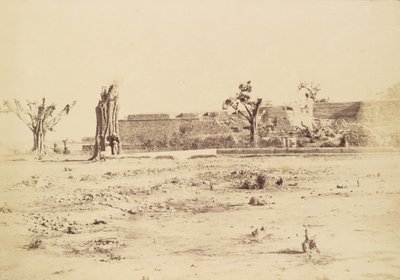 [Kaal landschap met een ongeïdentificeerd fort, Delhi]. door Charles Moravia