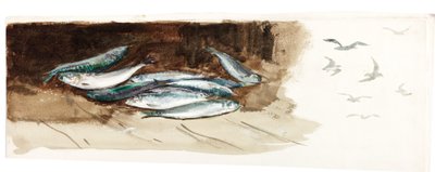 Studie van Vissen door Charles Napier Hemy