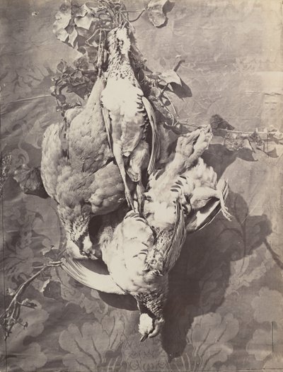 Stilleven met wildvogels door Charles Nègre