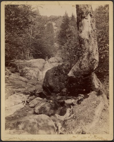 [Cascading Stream]. door Charles P. Hibbard