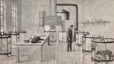 Honden in kooien in het laboratorium van Louis Pasteur (1822-1895), Franse chemicus en bioloog, Parijs, Frankrijk, gravure uit L