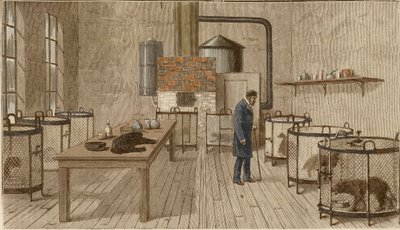 Honden in kooien in het laboratorium van Louis Pasteur door Charles Paul Renouard