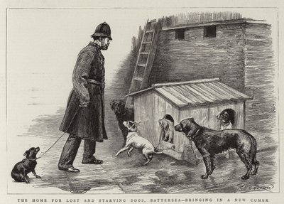 Het huis voor verloren en uitgehongerde honden, Battersea, brengt een nieuwkomer binnen door Charles Paul Renouard
