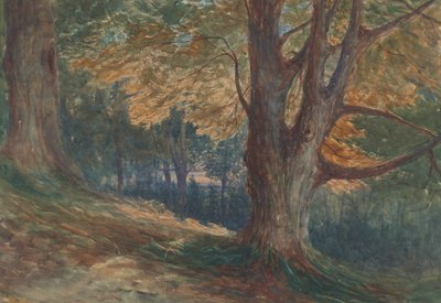 Bomen op een Heuvel in een Bebost Landschap door Charles Reginald Aston