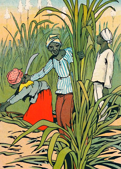 Aan het werk tussen de suikerriet, 1912 door Charles Robinson