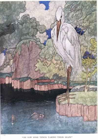 Hij zag wat brasems springen door Charles Robinson