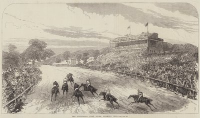 De Alexandra Park Races, Muswell Hill door Sir John Charles Robinson