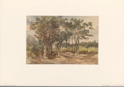 Boomgroep in de bossen bij Driebergen door Charles Rochussen
