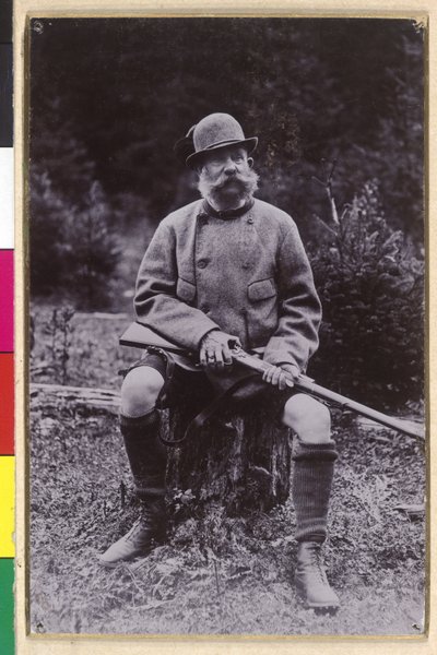 Franz Joseph I door Charles Scolik