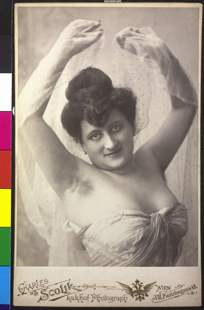 Portret van een dame door Charles Scolik