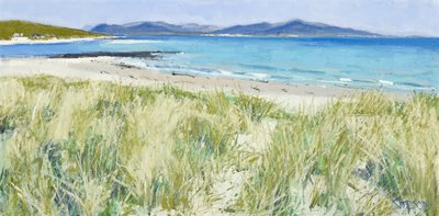 Strandgrassen, Berneray, 2011 (olieverf op doek) door Charles Simpson