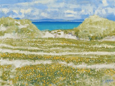 Glimpse of Harris, 2014 (olieverf op doek) door Charles Simpson