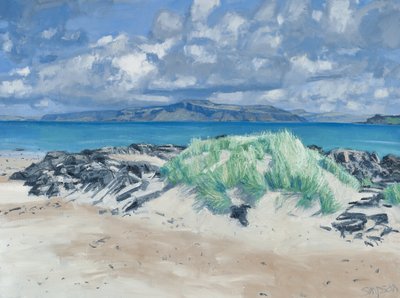 Rotsen en grassen, Iona, 2013 (olieverf op doek) door Charles Simpson